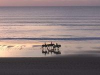 FB_IMG_1642098312018 (1)